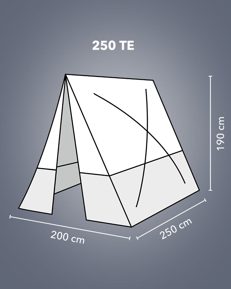 250 TE : les dimensions