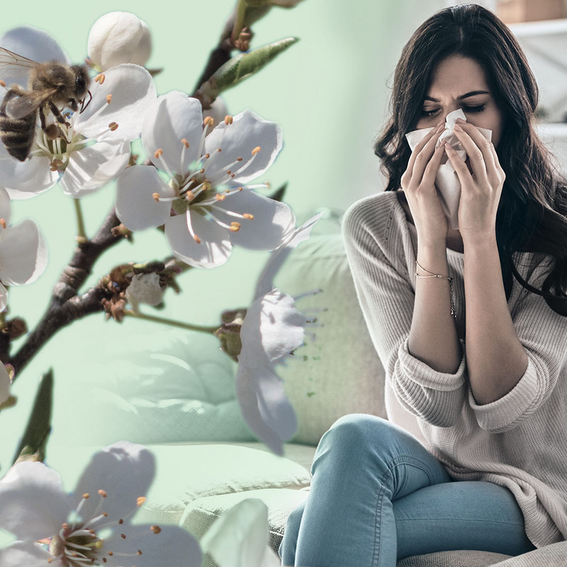 AirgoClean 170 E / 171 E : contre les allergènes