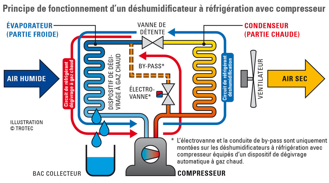 Déshumidificateurs à condensation avec compresseur - TROTEC