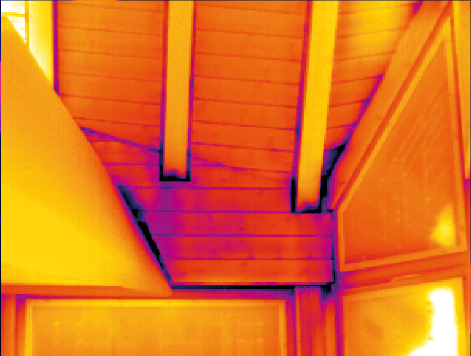 La thermographie avec la XC600