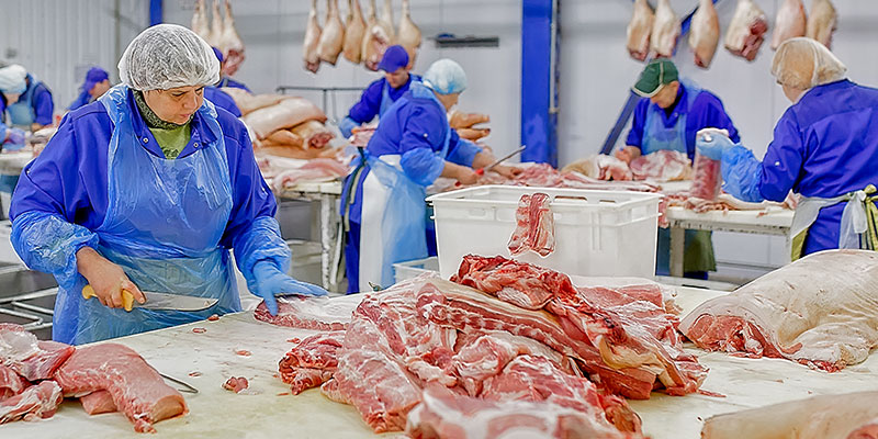 Un air exempt de virus dans l’industrie de la viande-Trotec