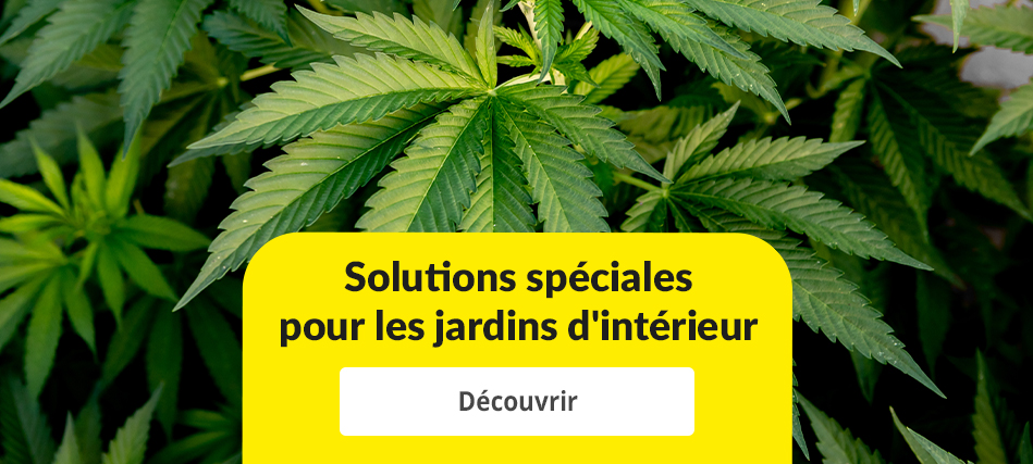 Spezielle Lösungen für Indoor Growing - Unsere Produkte bieten optimale Bedingungen für den Cannabisanbau.